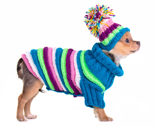 Dog Sweater / Pet Vest - Dynamic Pattern