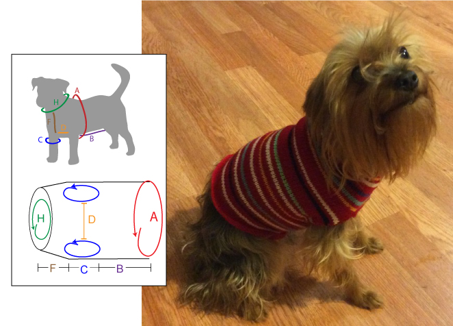 Pet Vest - Dynamic Pattern