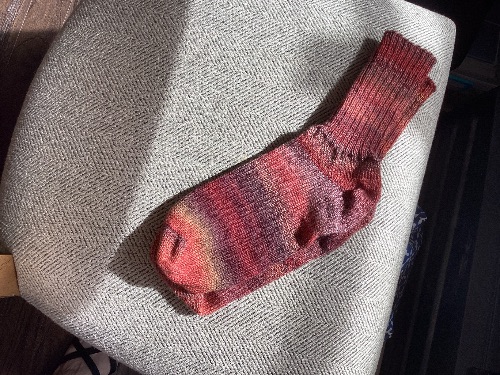 Basic Sock