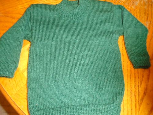 Prickly Pear Pullover