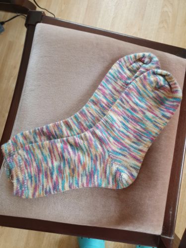 Basic Adult Sock