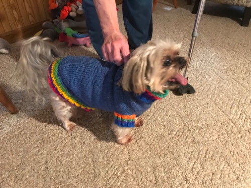 Dog Sweater / Pet Vest